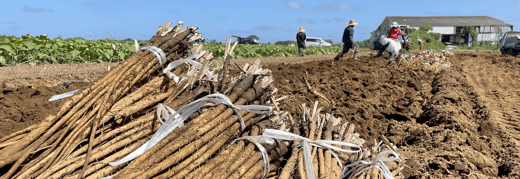 事業内容メインビジュアル