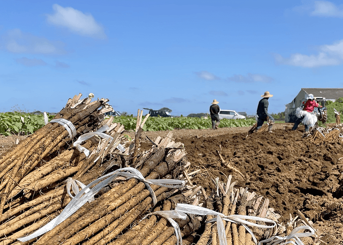 事業内容メインビジュアル