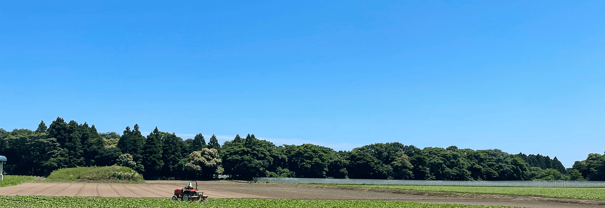 お問い合わせメインビジュアル