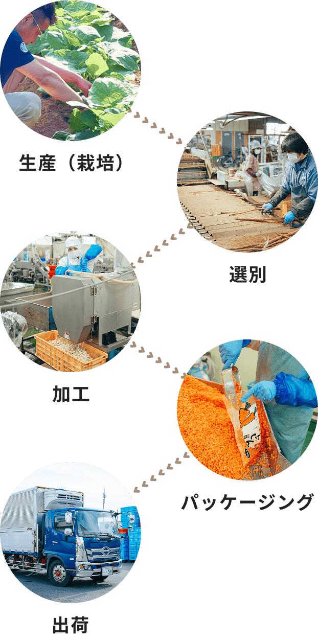 生産（栽培） 選別 加工 パッケージング 出荷
