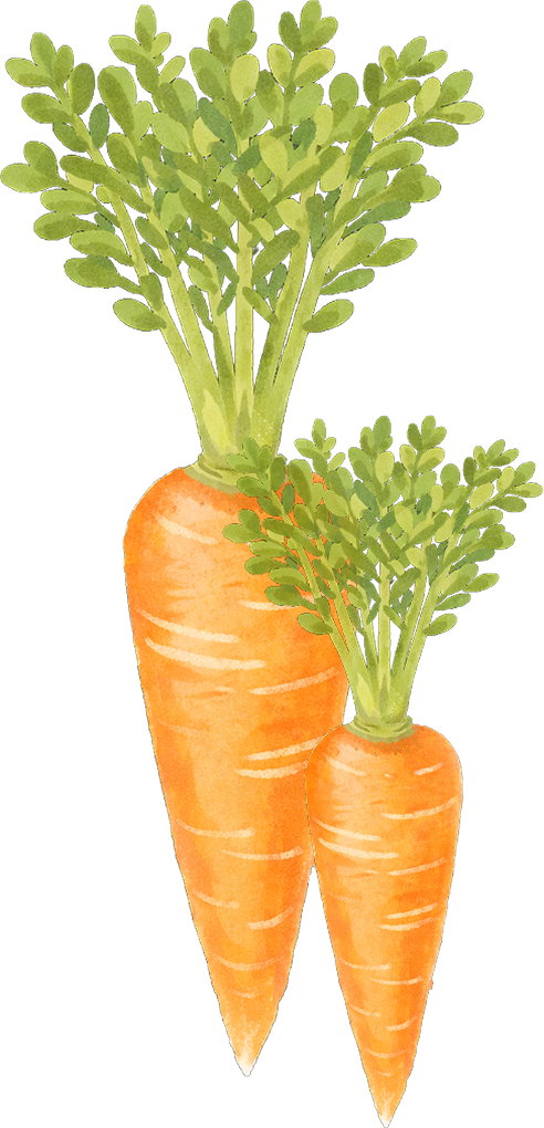 にんじん